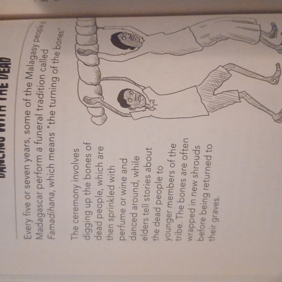 Killer History- by Clive Gifford - Picture 8 of 16